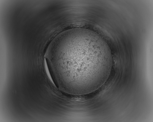 X0000093110745200710031316