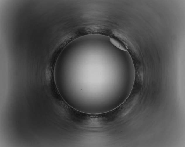 X0000093110746200710031316