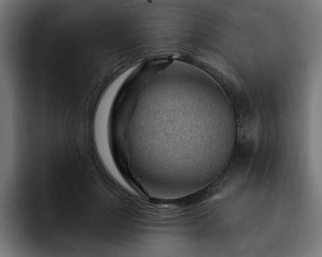 X0000093110748200710031316