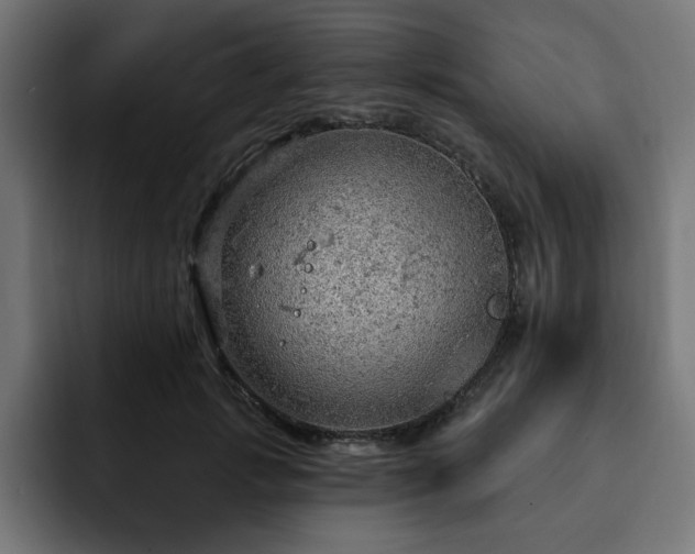 X0000093110749200710031316