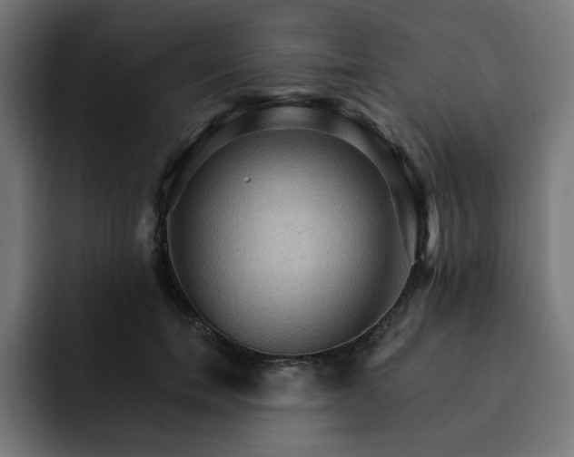 X0000093110750200710031316