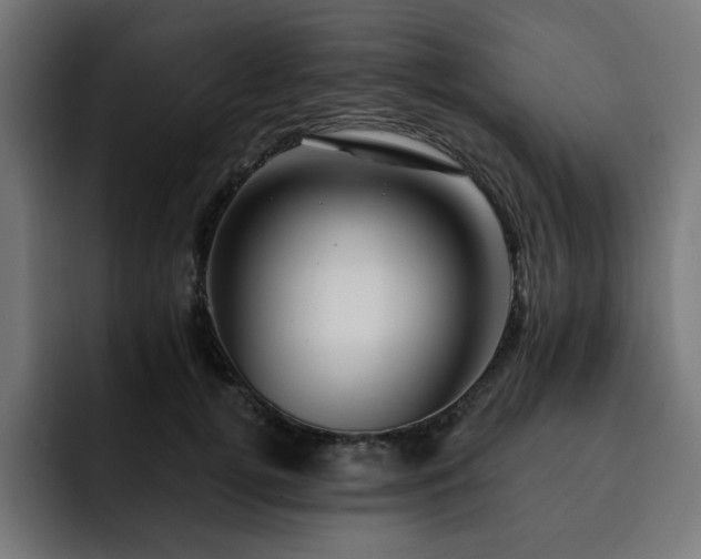 X0000093110752200710031316