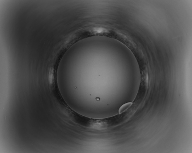 X0000093110754200710031316