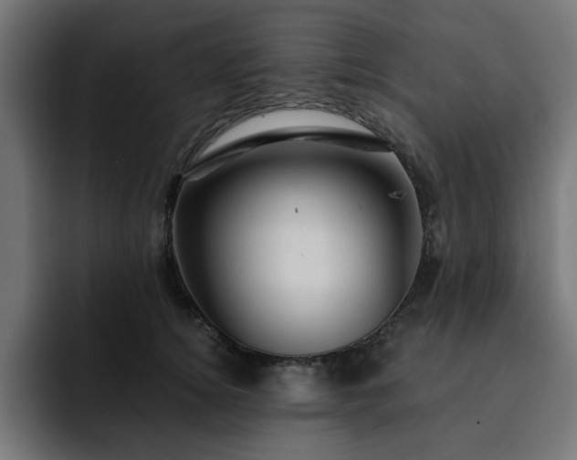 X0000093110756200710031316