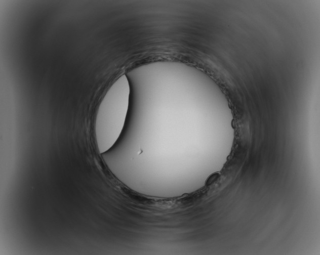 X0000093110757200710031316