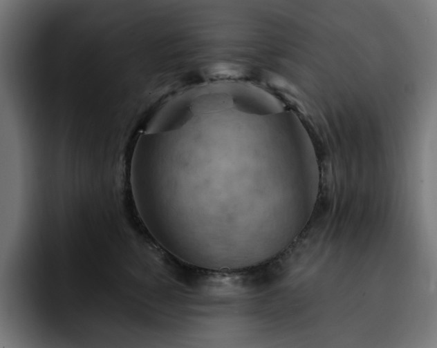 X0000093110760200710031316