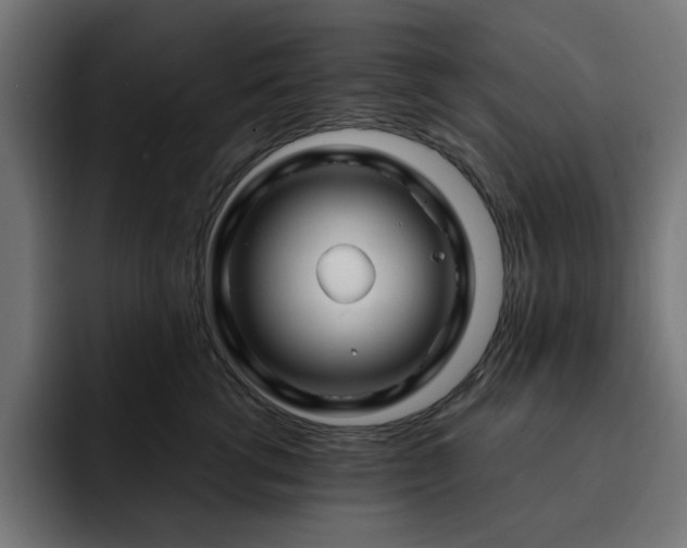 X0000093110762200710031316