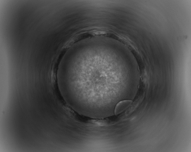 X0000093110763200710031316