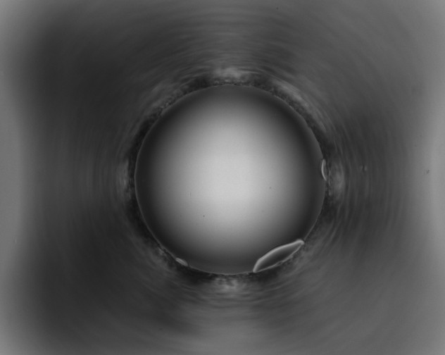X0000093110764200710031316