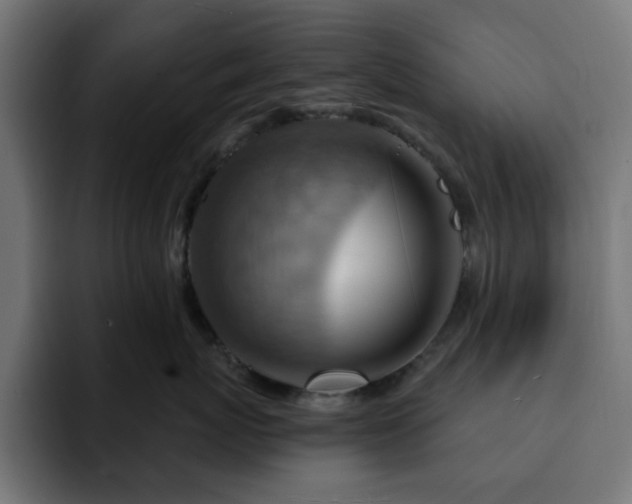 X0000093110767200710031316