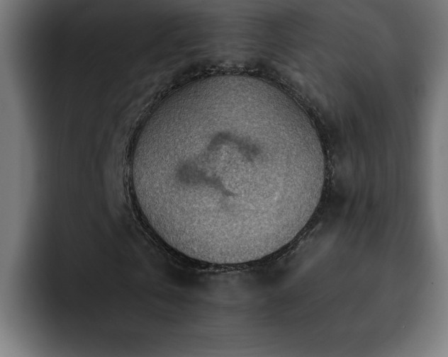X0000093110769200710031315