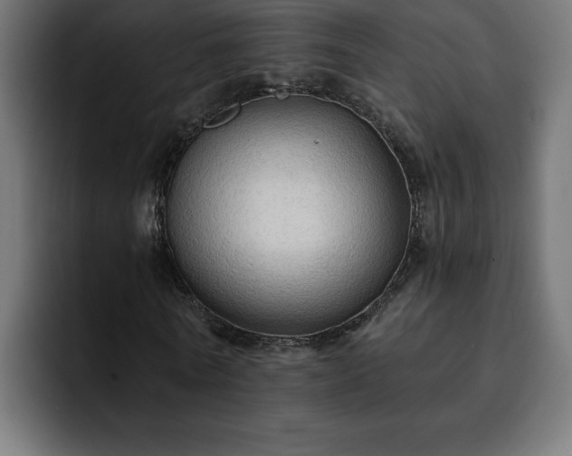 X0000093110770200710031315
