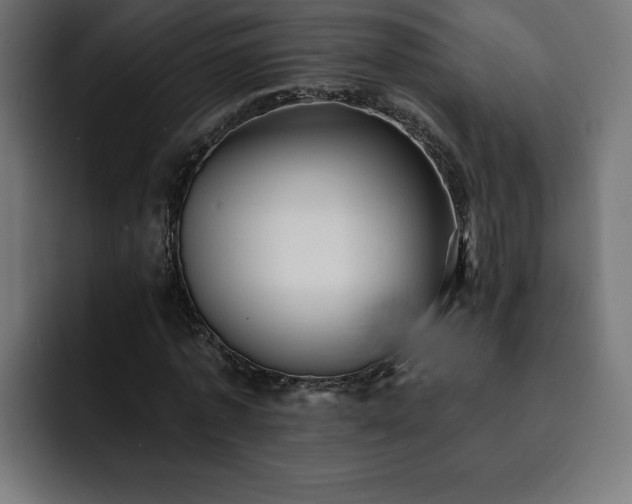 X0000093110773200710031315