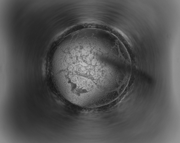 X0000093110775200710031315