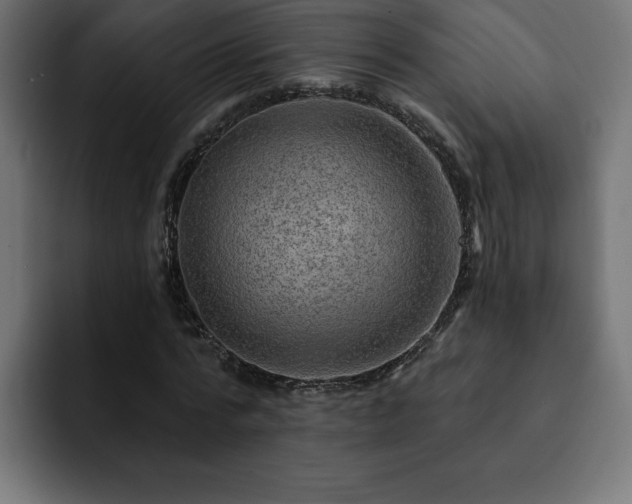 X0000093110776200710031315