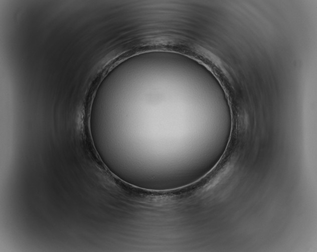 X0000093110778200710031315