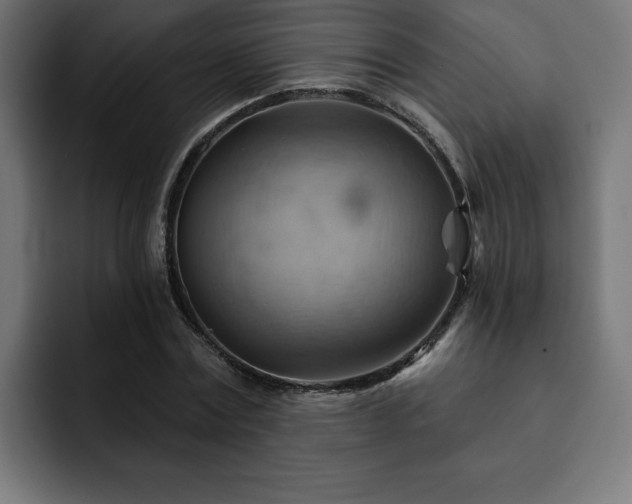 X0000093110779200710031315