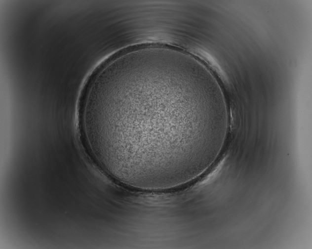X0000093110780200710031315
