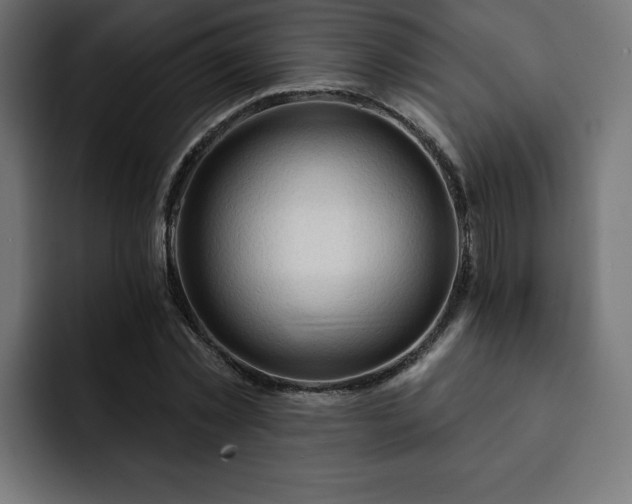 X0000093110781200710031315