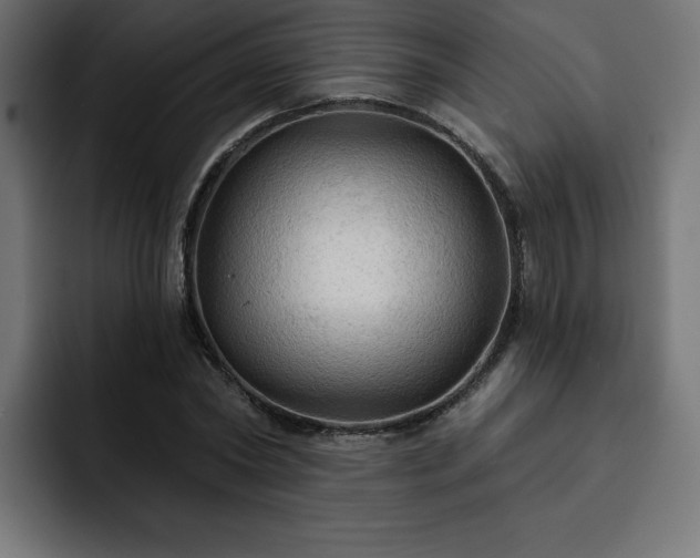 X0000093110782200710031315