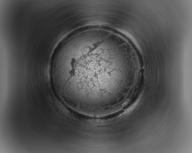 X0000093110783200710031315