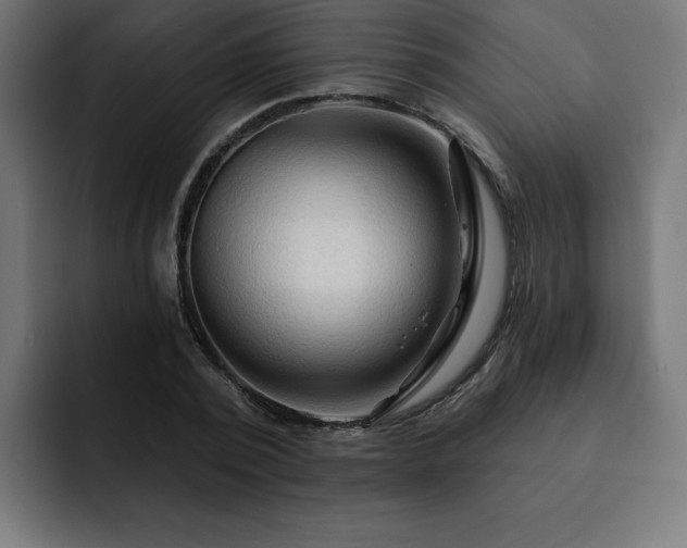 X0000093110784200710031315