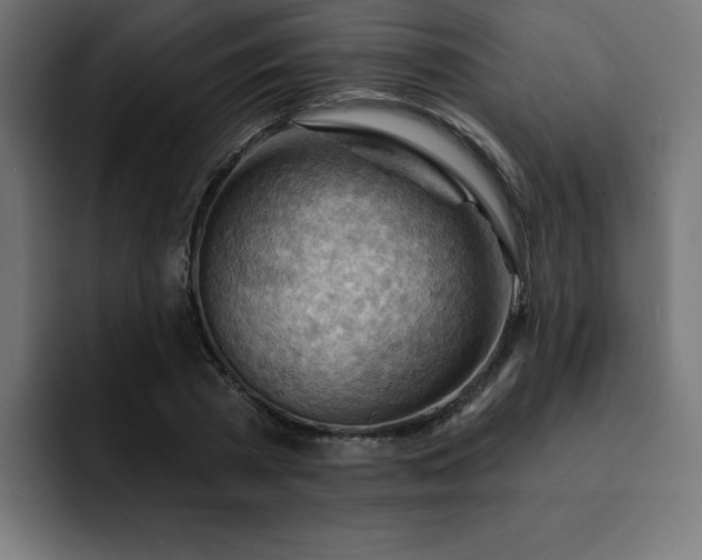 X0000093110785200710031315