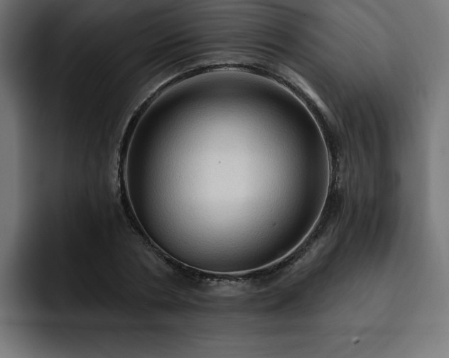 X0000093110786200710031315