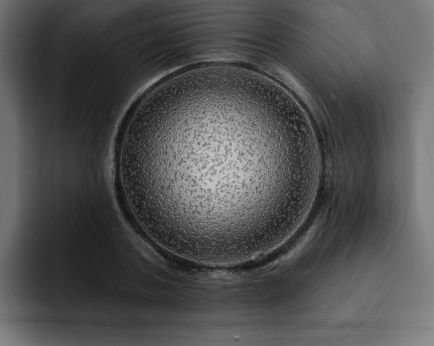 X0000093110787200710031315