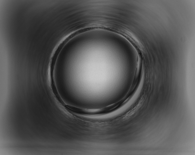 X0000093110788200710031315