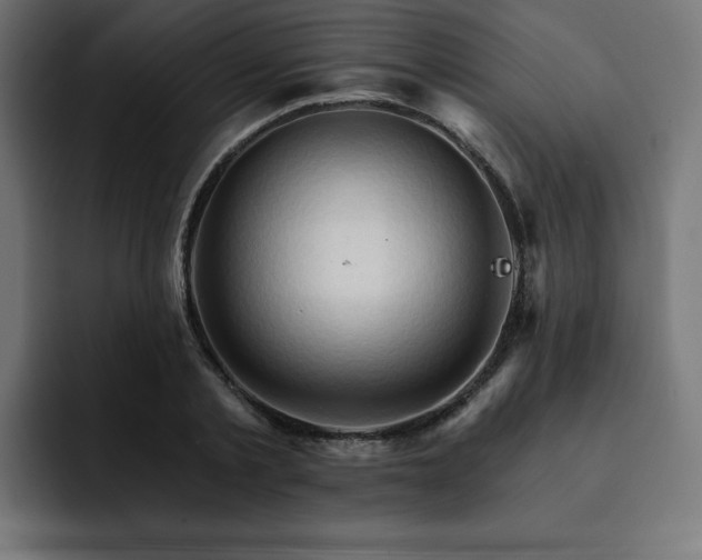 X0000093110789200710031315