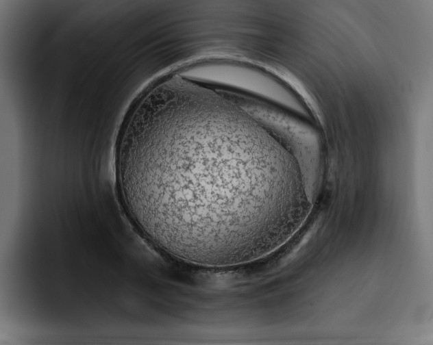 X0000093110791200710031315