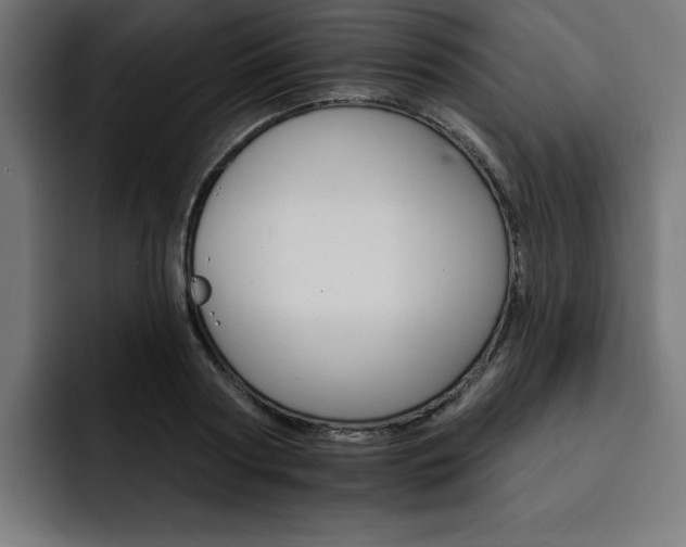 X0000093110794200710031315