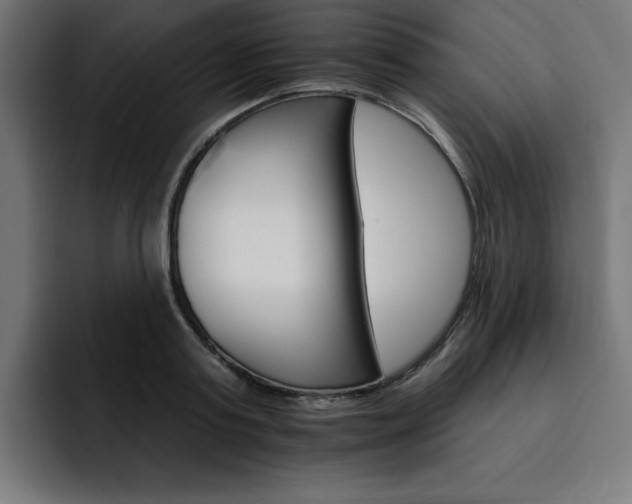 X0000093110795200710031315