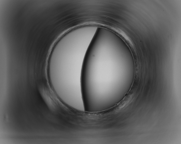 X0000093110799200710031315
