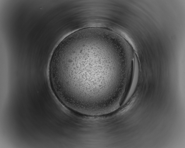 X0000093110803200710031315