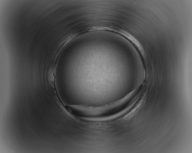 X0000093110809200710031315