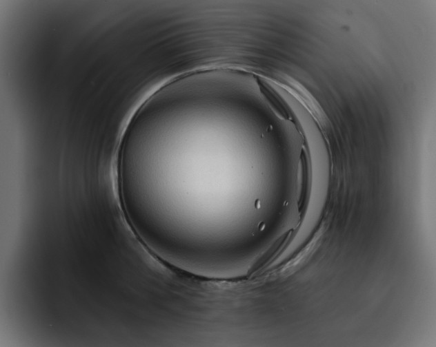 X0000093110812200710031315