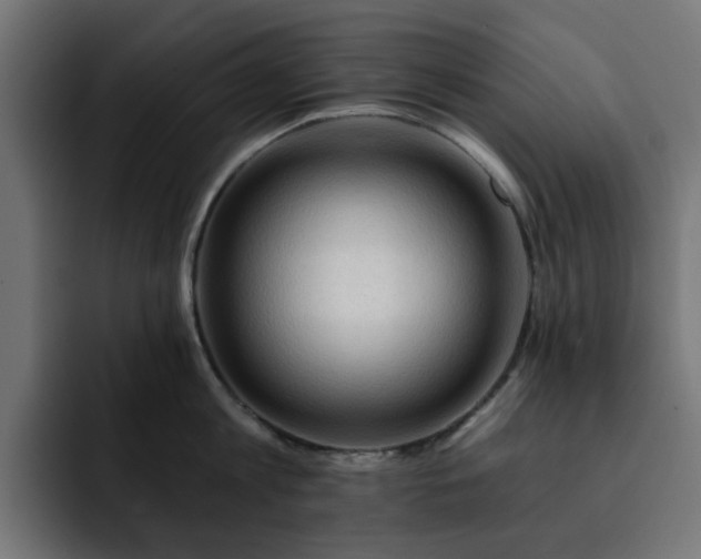 X0000093110813200710031315