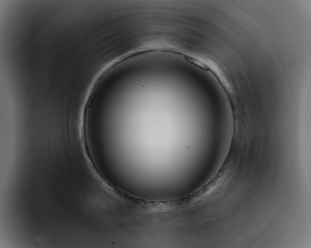 X0000093110815200710031315