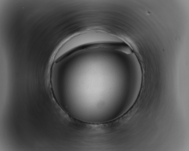 X0000093110816200710031315