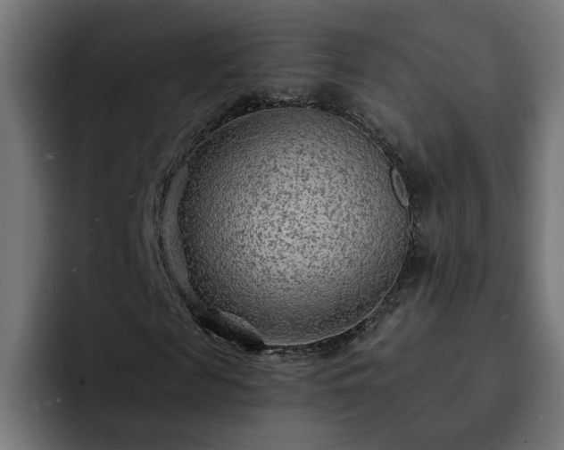 X0000093110817200710031314