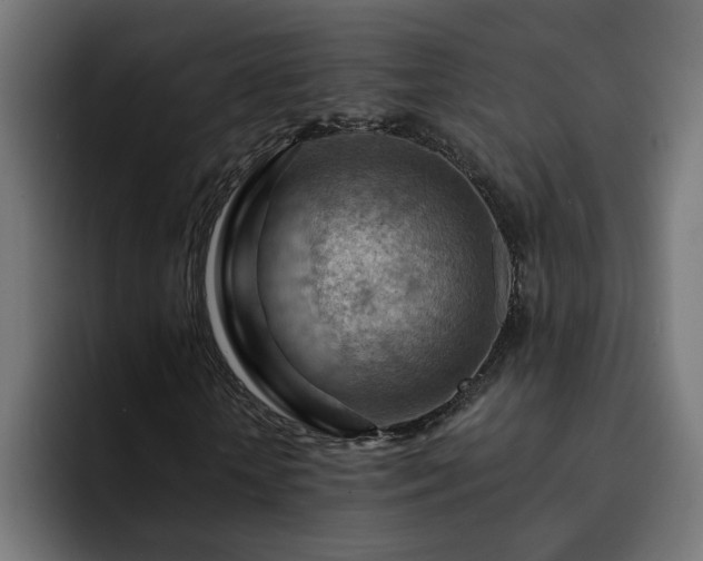 X0000093110818200710031314