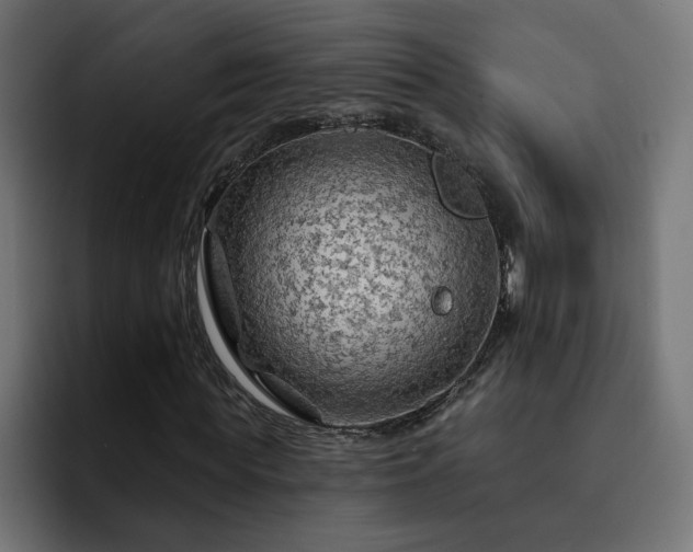 X0000093110819200710031314