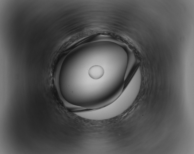 X0000093110822200710031314