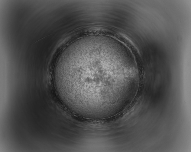 X0000093110823200710031314