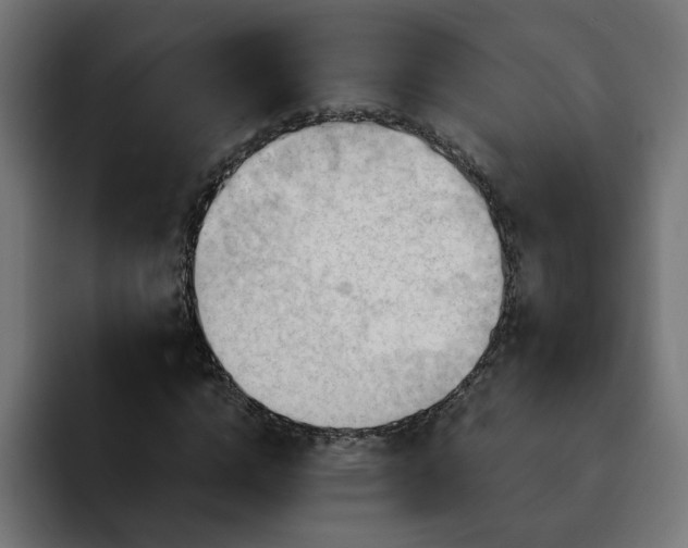 X0000093110824200710031314
