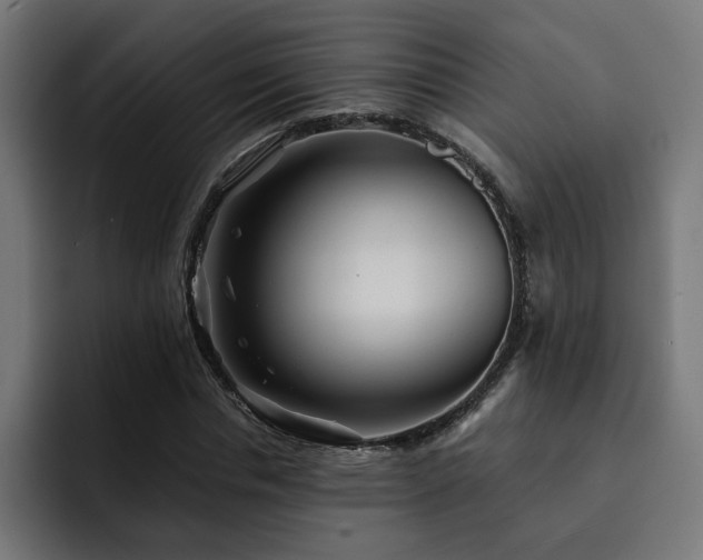 X0000093110826200710031314