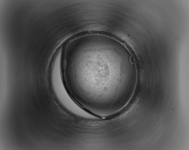 X0000093110829200710031314