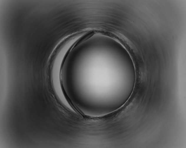 X0000093110830200710031314